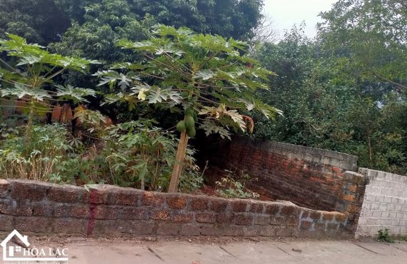 Bán Đất Tân Xã – 150m2 100% đất ở, Cách Khu CNC Hòa Lạc hơn 200m