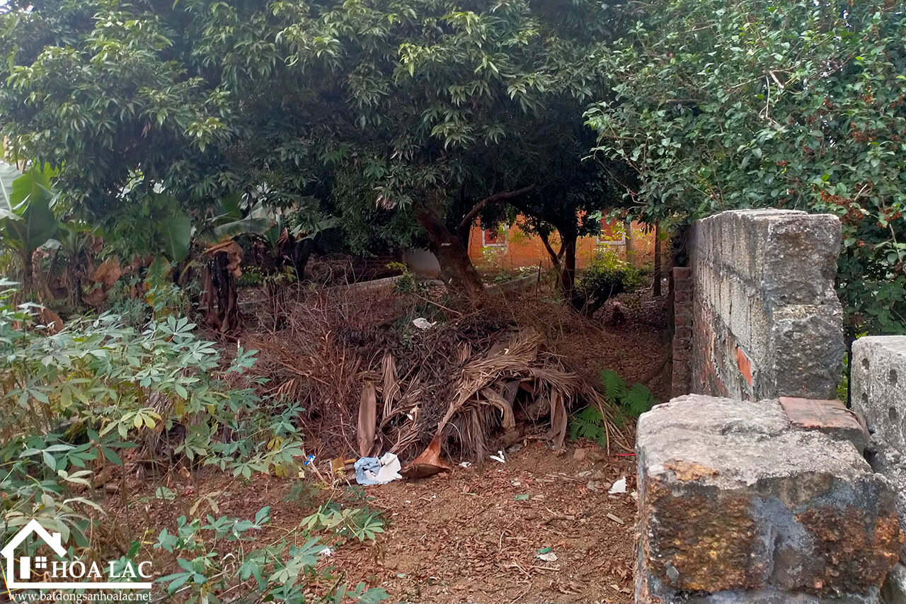 Bán Đất Tân Xã – 150m2 100% đất ở, Cách Khu CNC Hòa Lạc hơn 200m0