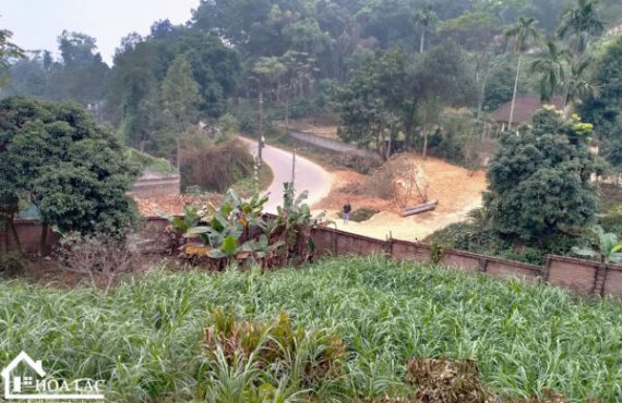 Bán đất Ba Vì Tuyệt phẩm nghỉ dưỡng, tựa lưng VQG Ba Vì