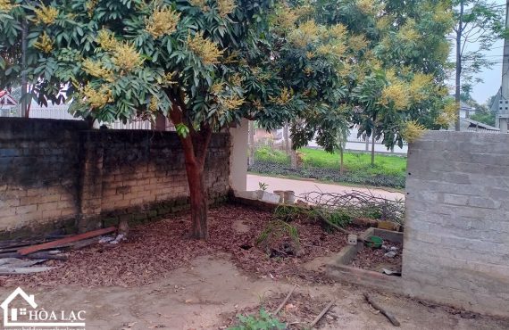 Bán Đất Cổ Đông Sơn Tây- 218m2 đường trước mặt rộng 12m đi hồ Đồng Mô