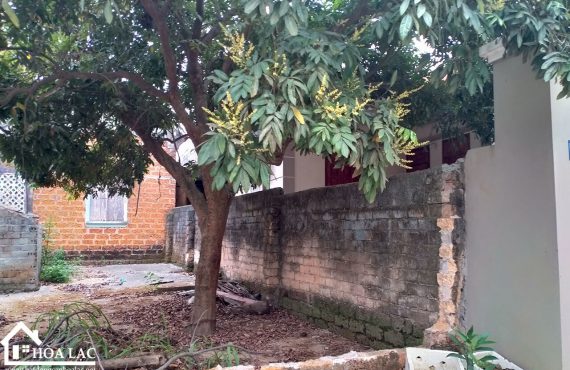 Bán Đất Cổ Đông Sơn Tây- 218m2 đường trước mặt rộng 12m đi hồ Đồng Mô