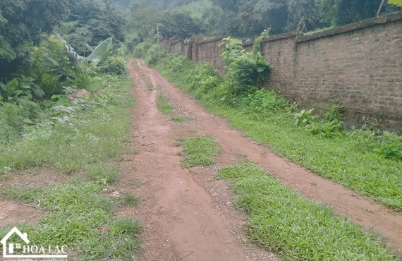 Bán đất Ba Vì Tuyệt phẩm nghỉ dưỡng, tựa lưng VQG Ba Vì