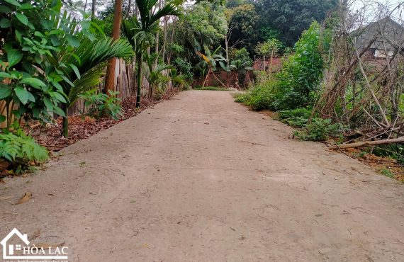 Đất Cổ Đông Sơn Tây- Cách đường 21 300m, Lối vào khu tập thể 73 Trường Sĩ Quan Lục Quân0