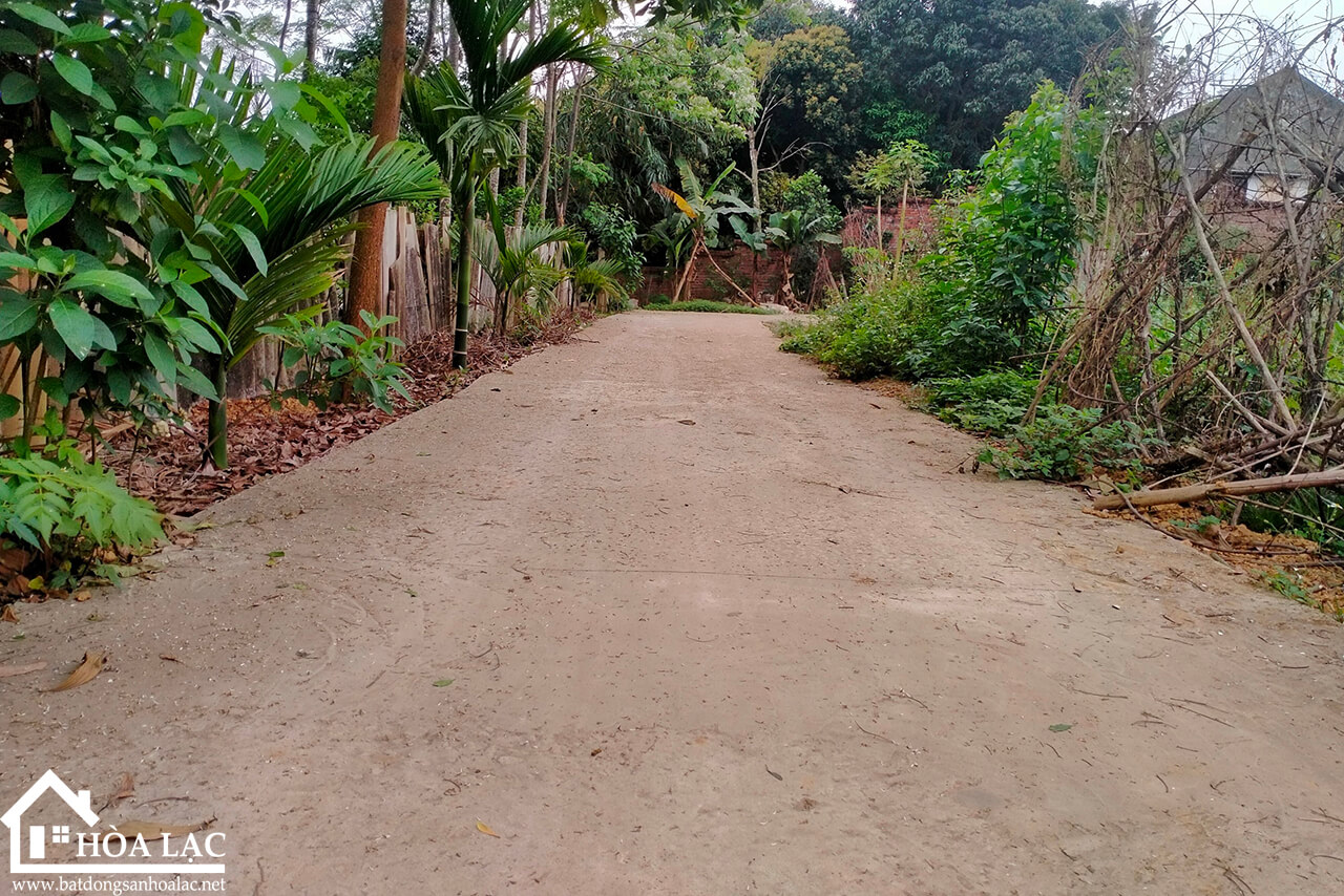 Đất Cổ Đông Sơn Tây- Cách đường 21 300m, Lối vào khu tập thể 73 Trường Sĩ Quan Lục Quân0