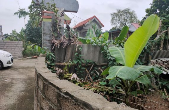 Bán đất thôn Kim Bông cách Vành Đai Khu Công Nghệ 1.5 Km