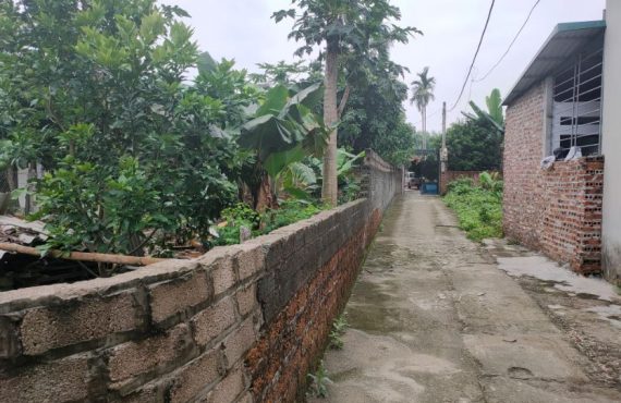 Bán đất thôn Kim Bông cách Vành Đai Khu Công Nghệ 1.5 Km