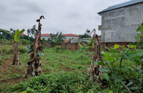 Mở Bán Lô Đất 1046m2 Thôn 3, Kim Bông, Tân Xã