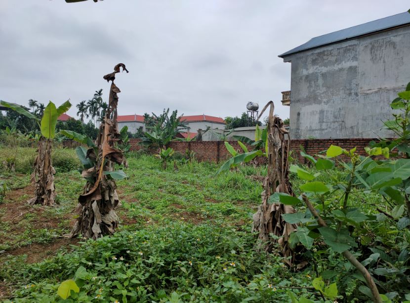 Mở Bán Lô Đất 1046m2 Thôn 3, Kim Bông, Tân Xã0