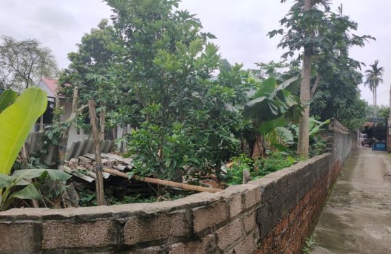 Bán đất thôn Kim Bông cách Vành Đai Khu Công Nghệ 1.5 Km