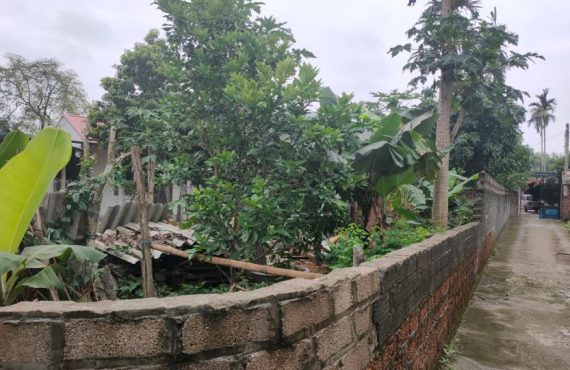 Bán đất thôn Kim Bông cách Vành Đai Khu Công Nghệ 1.5 Km