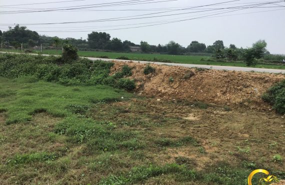 Bán đất Tân xã cách khu công nghệ cao hòa lạc 800m