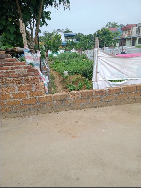 Bán đất tại thái bình xã bình yên huyện thạch thất0