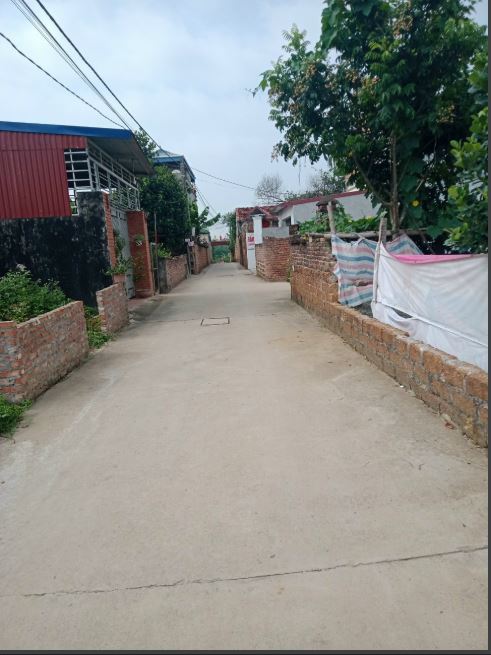 Bán đất tại thái bình xã bình yên huyện thạch thất