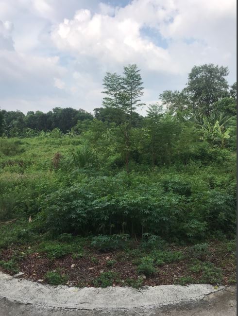 Bán đất tại xã tân xã thạch thất0