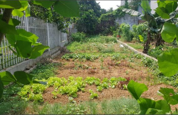 Bán đất tại thôn 5 xã tân xã