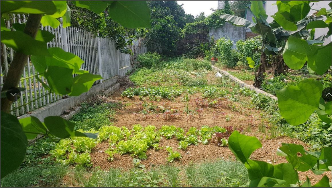 Bán đất tại thôn 5 xã tân xã0