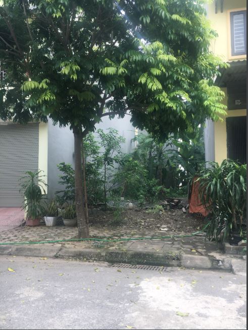 Bán đất tại khu TDC phú cát