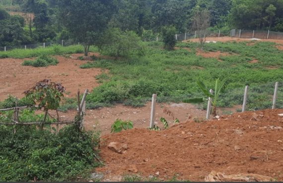 Bán đất tại thôn đồng bèn xã đông xuân huyện quốc oai