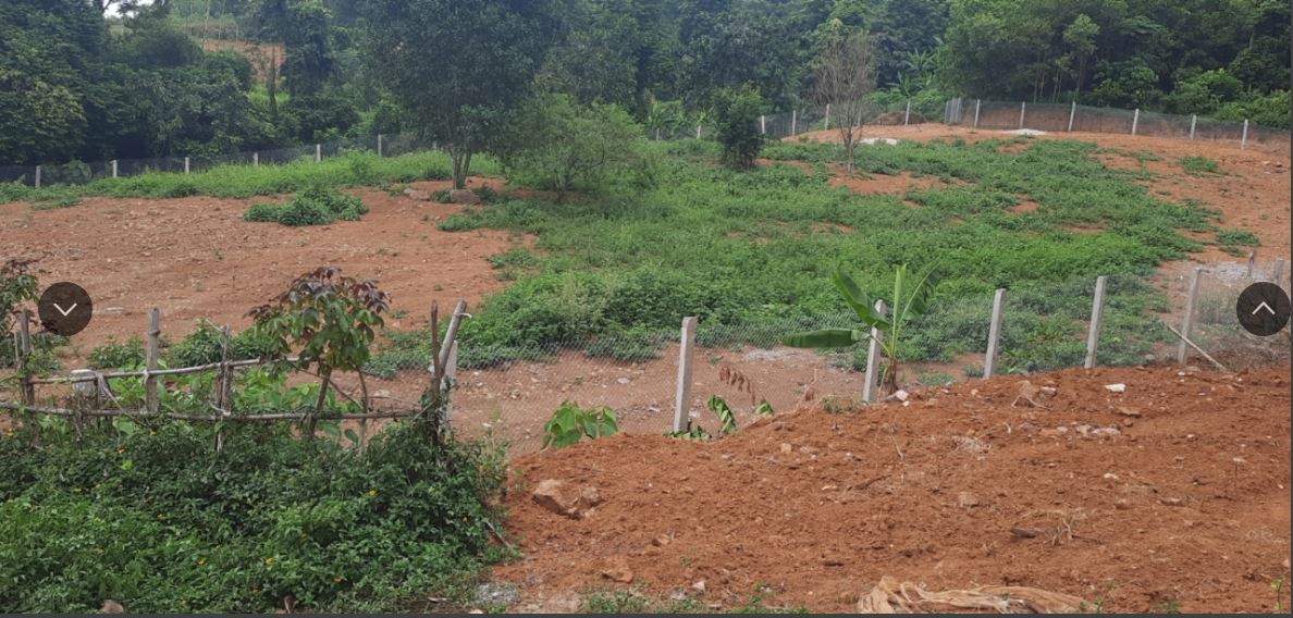 Bán đất tại thôn đồng bèn xã đông xuân huyện quốc oai0