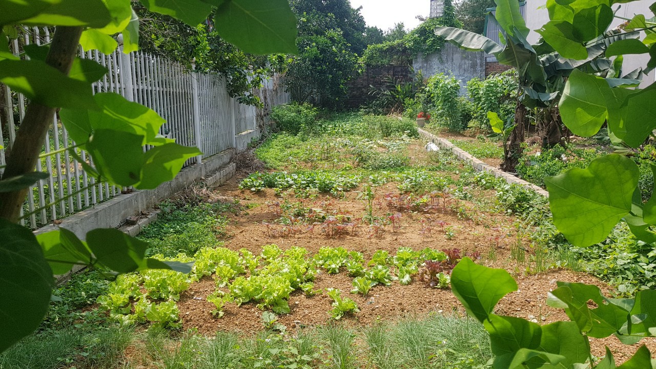 bán đất thôn 5 xã tân xã0