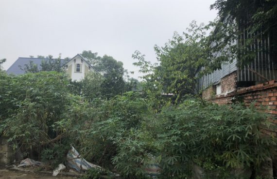 bán đất tại thôn 7 xã tân xã0