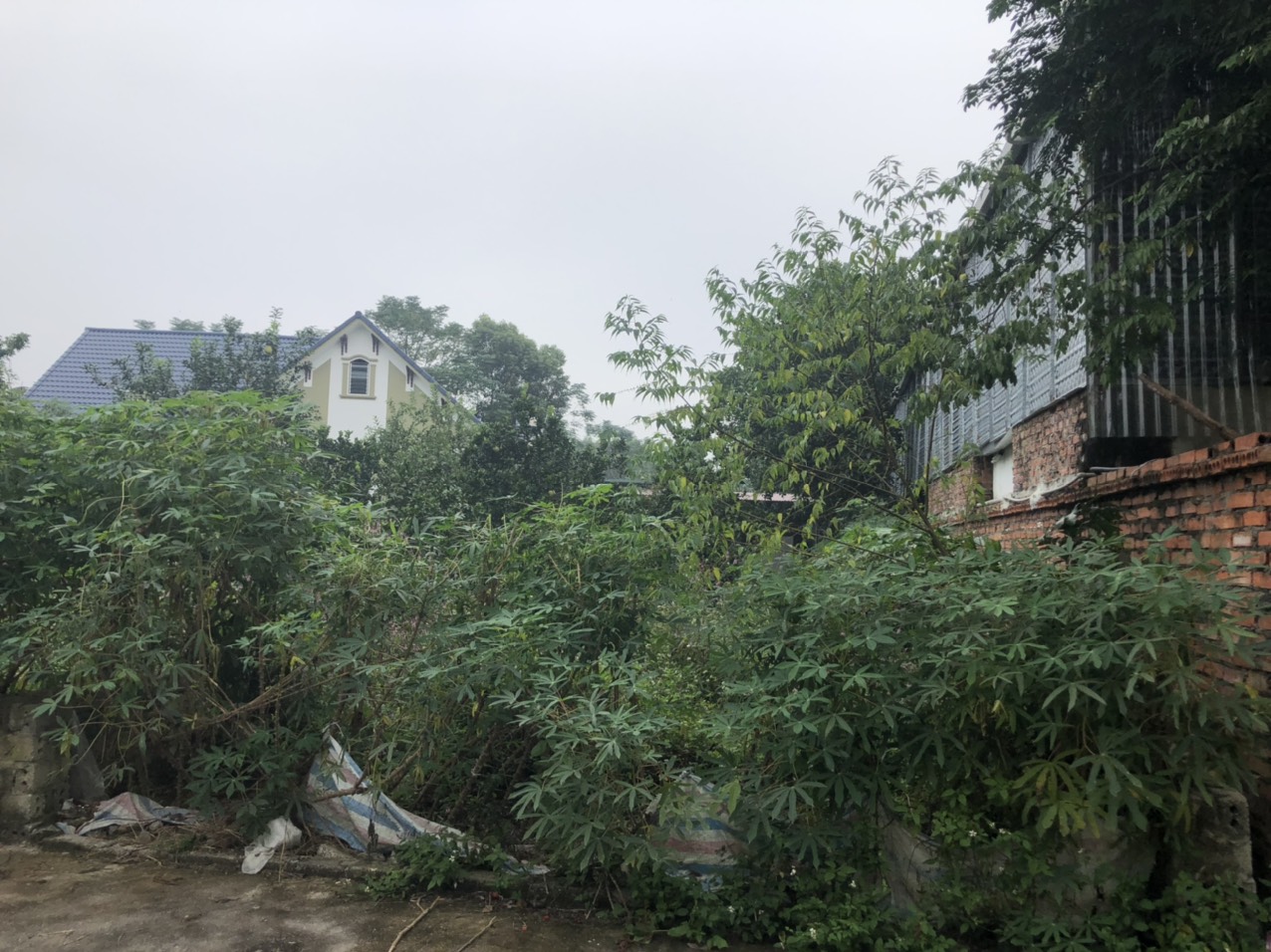 bán đất tại thôn 7 xã tân xã0