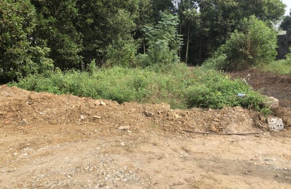 bán đất tại thôn 5 xã tân xã0